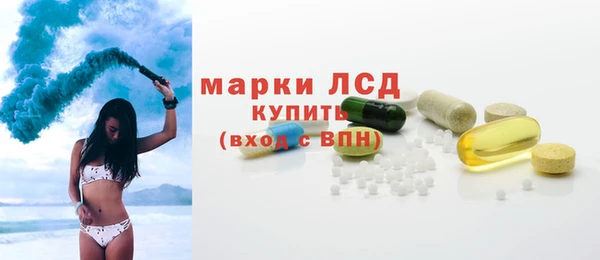 прущие грибы Белоозёрский