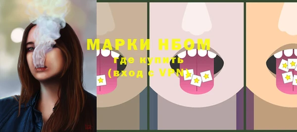 прущие грибы Белоозёрский