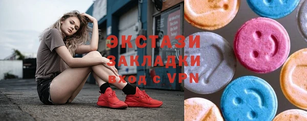 дживик Богородицк