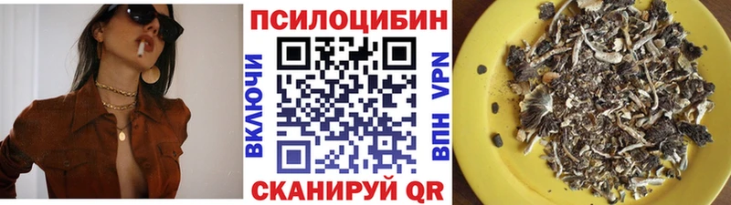 Псилоцибиновые грибы Cubensis  Купить  Лангепас 